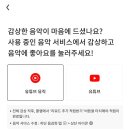 플램