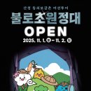 불로초교 이미지