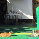 뜰안에창작마을 협동조합 이미지