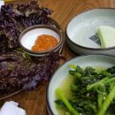 봄내멸치쌈밥 이미지