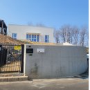 (주)씨스테이 야영장 | 춘천 반려견독채펜션 추천 '스테이루비' 다녀온 솔직 후기