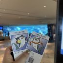 씨유 양산북부대로점 | 내돈내산 돌고래 공연 추라우미 수족관 추천