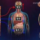 스트레스가 고혈압을 유발하는 이유 이미지