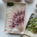 상반기 결산