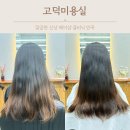 프로카클리닉 | 평택 고덕미용실, 4단계 카나토클리닉 받은 후기