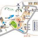 양촌 유아숲체험원 이미지