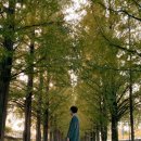 예담농원 이미지