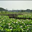 (주)연지 이미지