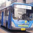 서울면일초등학교 이미지