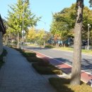 청와대 - 구례군 봉남길 21 | 청와대