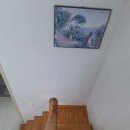 푸조와곰솔 | 거제도펜션 중 강아지와 함께하기 좋은 ‘푸조와곰솔’ 리얼 후기