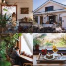 화창사 | 제주 월정리 카페 오늘도화창 구좌 당근케이크 맛집