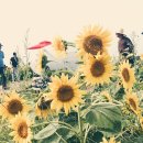 강주주유소 이미지