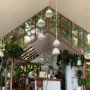 ㈜뉴부자관광 | [Da Lat] 베트남 달랏여행, 다딴라폭포 루지(알파인코스터)｜감성카페 Tiem ca phe Phia Tay Mat Troi