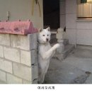 어서타개 이미지