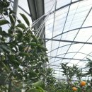 혜윤농장 이미지