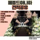 깨비스테이 | [메종드아나하 견적공유] 강남 단독홀 호텔분위기 웨딩홀 | 대관료·식대·당일계약 혜택 포함 최종...