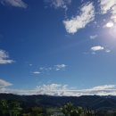 참샘골농장 | 5.23(수)-5.27(일) 댓글로 주문받아요:) 마감:D