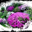 달나라레코드 이미지