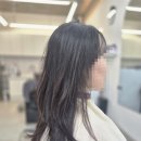 헤리헤어