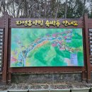 순천자연휴양림 이미지