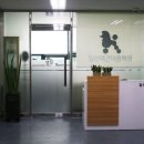 튼튼애견미용 이미지