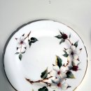 도그 블라썸 이미지