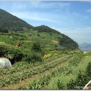 가천다랭이마을 이미지