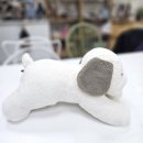 수선동물병원 이미지