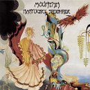 Mountain - Nantucket Sleighride 이미지