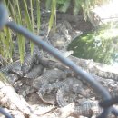 (주)박상 이미지