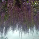 회원초등학교 이미지