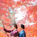 늘편안약국 이미지