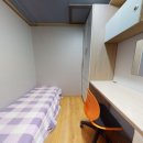 산호세탁 이미지