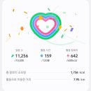 리필톡네트웍스 | 10시간동안 허그매트시공한 내돈내산_이월 나녕브룩