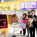 으뜸에서 이미지