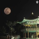 미포 오션사이드 호텔(MIPO OCEANSIDE HOTEL) 이미지