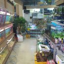 가성수족관 이미지