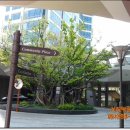 서면더샵센트럴스타 이미지