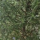 퀸헤어샵 | 송탄 미용실 퀸헤어에서 펌 했습니다