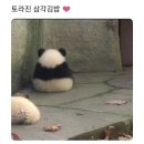 말랑 이미지