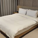 브라운도트경북대점 이미지