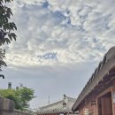 현완단겸