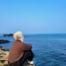 더들집 2 | 제주도 구좌 독채 숙소 "더들집 빌레"