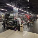 헬스보이짐 장안점 | 헬스보이짐 장안점 / 일일권 / 2025.12.31