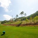 하이원 GDR 골프 아카데미 이미지