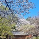 석곡서당 | 대전가볼만한곳, 우암사적공원 남간정사 우암문화제