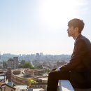 은행나무길(경제진흥원앞) 이미지