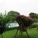 남산 산책로 이미지