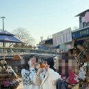 전주호스텔 | [담양 여행] 감성 카라반 선인장호스텔 후기